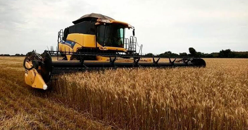 Anapo advierte que el diésel a Bs 18 afectará a pequeños y medianos productores